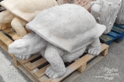 Tartaruga Gigante Grigia 219,00€